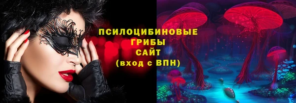 спиды Нефтекумск