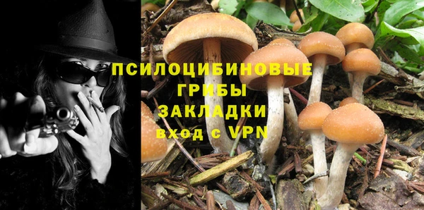 спиды Нефтекумск
