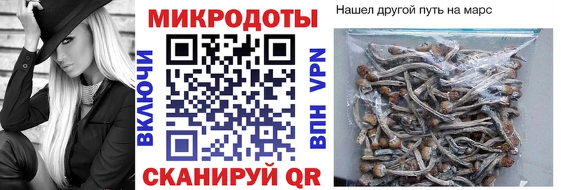 Псилоцибиновые грибы мухоморы  гидра онион  Новозыбков 