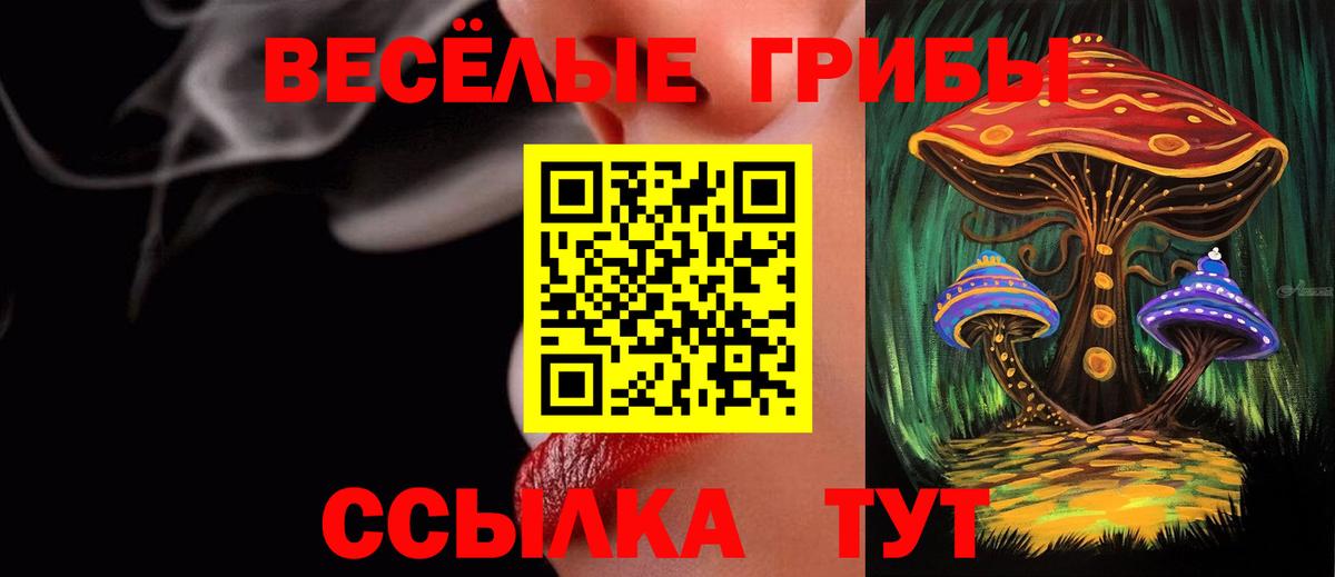 Канабис Новозыбков